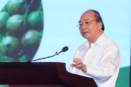 Le PM exige plus d’efforts pour assurer une culture efficace de la macadamia