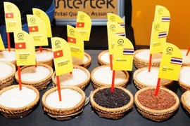 Le marché de l’Europe du Nord prometteur pour le riz vietnamien 
