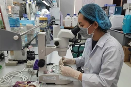 Publications scientifiques: Le Vietnam conforte sa place dans le top 50