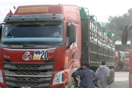 Lang Son facilite les exportations de fruits vers la Chine