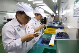 L’EVFTA ouvre des opportunités d’investissement et restructure les chaînes de valeur mondiales