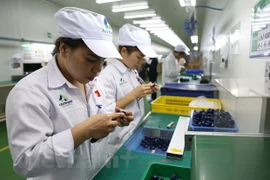 L’EVFTA ouvre des opportunités d’investissement et restructure les chaînes de valeur mondiales