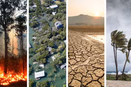 Le delta du Mékong agit vers l’adaptation climatique et le développement durable