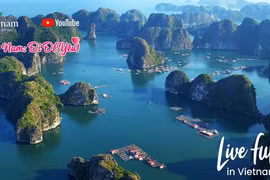 Le tourisme vietnamien accélère son processus de transformation numérique