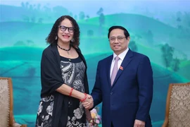 Le Vietnam prêt à accompagner le Brésil sur des questions multilatérales et internationales