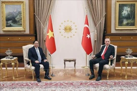 Le Vietnam et la Turquie renforcent leur coopération multiforme