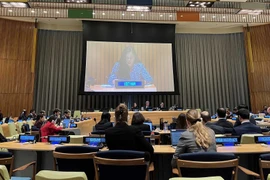 Le Vietnam soutient les mesures antiterroristes conformément aux principes de la Charte de l’ONU