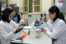 Le Vietnam et l’Afrique du Sud coopèrent dans la formation et la recherche scientifique