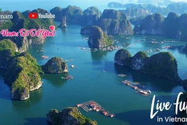 Le tourisme vietnamien accélère son processus de transformation numérique