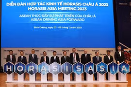 Binh Duong accueille la réunion Horasis Asia 2023