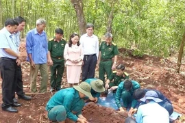 Les restes de 20 soldats tombés au combat retrouvés à Binh Phuoc