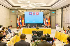 Les Assemblées nationales CLV coopèrent sur la surveillance en défense et sécurité