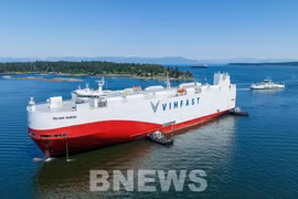 Un lot de voitures électriques VinFast VF 8 arrive au Canada