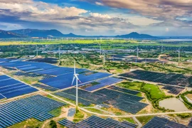 Le Vietnam soutient les initiatives du Japon pour atteindre zéro émission nette