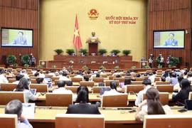 AN: Séance de questions-réponses sur le secteur des affaires ethniques