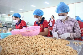 Exportation vers Israël : nécessité d'étudier attentivement le marché et les partenaires