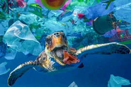 Vietnam-Japon : coopération dans la gestion des déchets marins