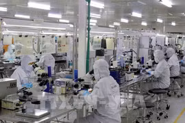 Le Vietnam dispose d'un énorme potentiel pour la croissance de l'industrie de grande valeur