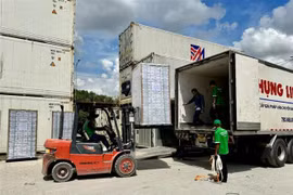 Tra Vinh : Exportation de boisson fraîche de fleur de coco vers les États-Unis