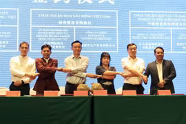 Promotion de la coopération commerciale entre Ho Chi Minh-Ville et le Guangxi (Chine)