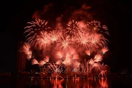 Feux d'artifice de Da Nang : des performances spectaculaires de France et du Canada