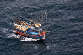 Le Vietnam déploie des efforts continus contre la pêche INN