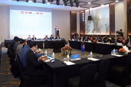 Les pays de la sous-région du Mékong coopèrent pour prévenir la criminalité liée à la drogue