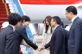 Le prince héritier et la princesse héritière du Japon entamment leur visite officielle au Vietnam