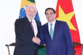 Entretien entre le Premier ministre vietnamien et le président brésilien
