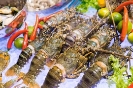 Les exportations nationales de homards vers la Chine ont retrouvé des couleurs