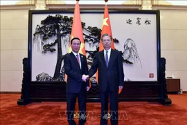 Le président vietnamien a une entrevue avec le président de l'APN de Chine