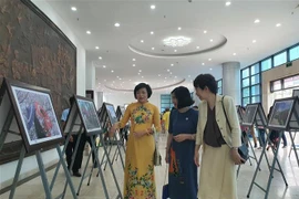 Festival Vietnam-Japon à Hanoï