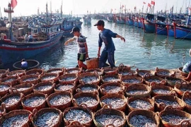 INN : Tien Giang suit les recommandations sur la prévention de la pêche illégale