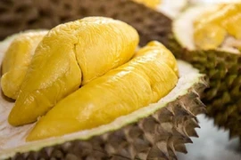 Le durian vietnamien Ri6 débarque dans les rayons des supermarchés britanniques