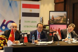 Le Vietnam et l’Égypte s’échangent sur l’attraction de la finance verte