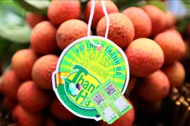 Le litchi vietnamien et le longane espèrent une plus grande part de marché à Singapour