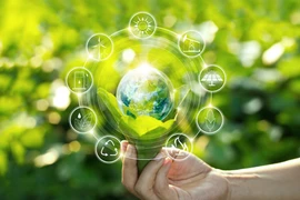 Les Pays-Bas coopèrent avec le Vietnam dans le développement vert