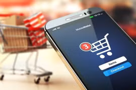 Pour accéder aux marchés du commerce en ligne de Singapour des produits vietnamiens