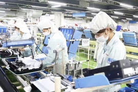 Porter la coopération entre le Vietnam et les Pays-Bas à une nouvelle hauteur