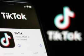 Inspection complète des activités de TikTok au Vietnam