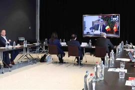 Binh Dinh présente son potentiel d'investissement à des entreprises belges