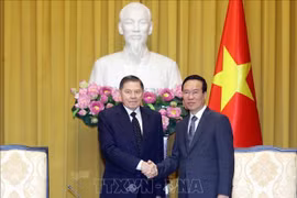 Le président Vo Van Thuong salue la visite du président de la Cour suprême de la Fédération de Russie 