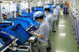 Plusieurs entrepreneurs singapouriens apprécient le potentiel de coopération avec le Vietnam