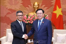 La visite du président vietnamien de l'AN en Indonésie contribue à renforcer une amitié étroite