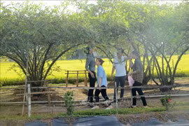 Tien Giang accueille plus de 38.000 touristes pendant le Têt