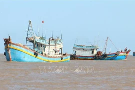 Ben Tre contribue aux efforts communs de lutter contre la pêche INN