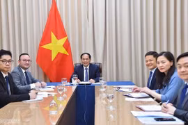 Le Vietnam et le Mozambique renforcent leur coopération multiforme