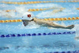 Dix nageurs vietnamiens en compétition aux championnats du monde de natation 2023 au Japon