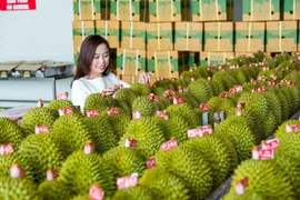 Vietnam-Chine: déficit commercial de 6,5 milliards de dollars pour le Vietnam