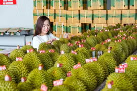 Vietnam-Chine: déficit commercial de 6,5 milliards de dollars pour le Vietnam